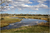 DSC5162-Airdrie.jpg