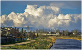 DSC5198-Airdrie.jpg