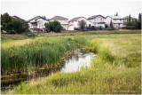 DSC05973-Airdrie.jpg