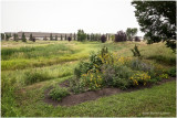 DSC05992-Airdrie.jpg