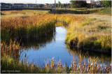 K4227184-Airdrie.jpg
