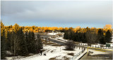 IMG_2252~Airdrie.jpg