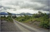 scan-2-850-Alberta.jpg