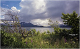 scan-2-746-Alberta.jpg