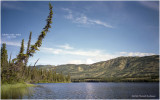scan-2-646-Alberta.jpg