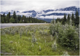 scan-2-788-Alberta.jpg