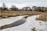 DSC07652-Airdrie.jpg