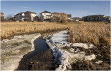 DSC07680-Airdrie.jpg