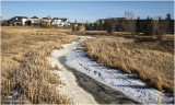 DSC07688-Airdrie-2.jpg