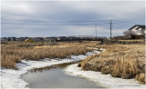 DSC07698-Airdrie.jpg