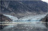 K4229293-Dawes Glacier.jpg