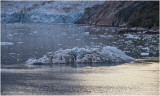 K4229362-Dawes Glacier.jpg