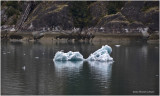 K4229257-Endicott Arm.jpg