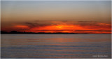 DSC08459.jpg