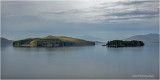 DSC08707.jpg