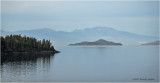 DSC08714.jpg