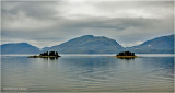 DSC08759.jpg