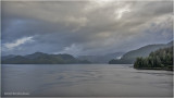 DSC08825.jpg