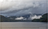 DSC08814.jpg