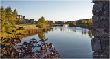 DSC08987-Airdrie.jpg