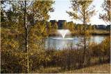 DSC09020-Airdrie.jpg