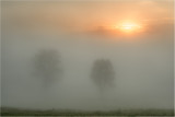 Sun Piercing The Fog<br><h4>*Credit*</h4>