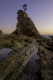 Sunrise at Tree Tower Rock<br><h4>*Credit*</h4>