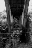 portland_vista_bridge_010_10.JPG