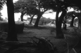 san_francisco_zoo_2007_10-12.jpg