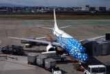 JAPAN_TRANS_OCEAN_AIR_BOEING_737_8700_FUK_RF_IMG_0047.jpg