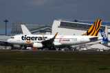TIGERAIR_TAIWAN_AIRBUS_A320_NRT_RF_5K5A0201.jpg