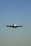 ANA_AIRBUS_A380_NRT_RF_5K5A1437.jpg