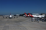 QANTAS AIRCRAFT SYD RF IMG_1308.jpg