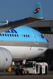 KOREAN AIR AIRBUS A330 300 BNE RF 5K5A1894.jpg