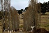 Ambience ~ New England NSW