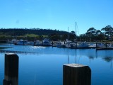 Triabunna