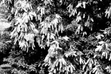 march_signs_of_the_seasons_2021