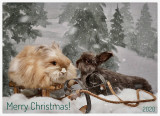 Christmas 2020