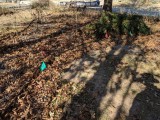 IMG_20181210_115320.jpg