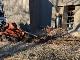 IMG_20181210_155915.jpg