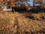 IMG_20181210_160132.jpg