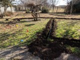IMG_20181211_101243.jpg