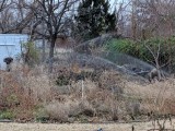 IMG_20181211_164947.jpg