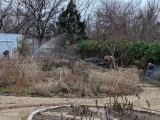 IMG_20181211_164955.jpg