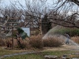 IMG_20181211_165255.jpg