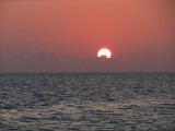 IMG_4764b.jpg