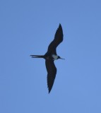 DSC_4890b.jpg