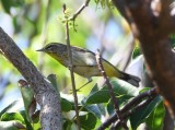 DSC_5284b.jpg