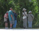 IMG_4343b.jpg