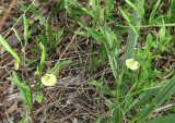 IMG_4353b.jpg